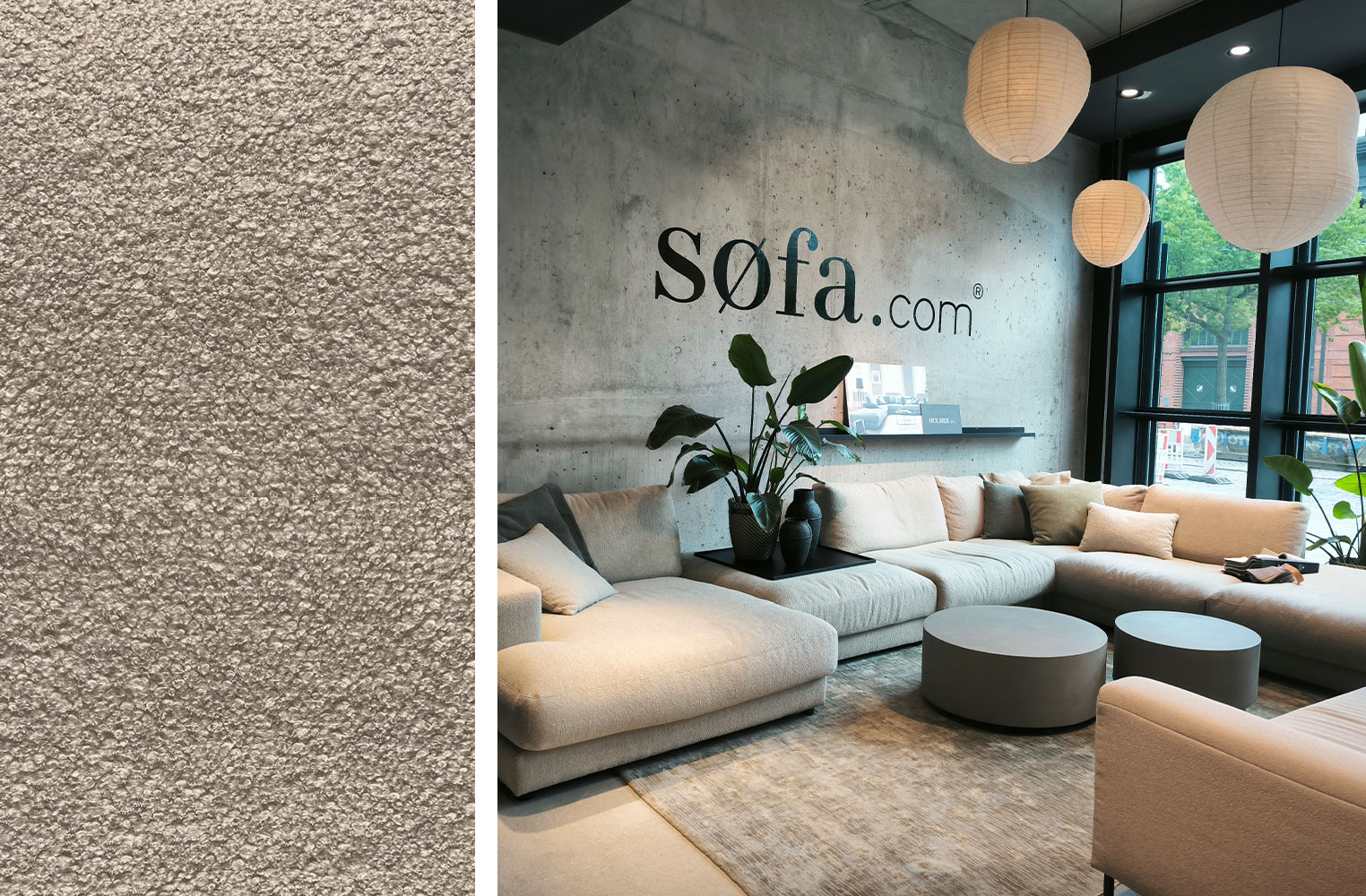 Dekoration für Zuhause, Innenarchitektur, Wohnzimmer, Pflanze, Couch, 