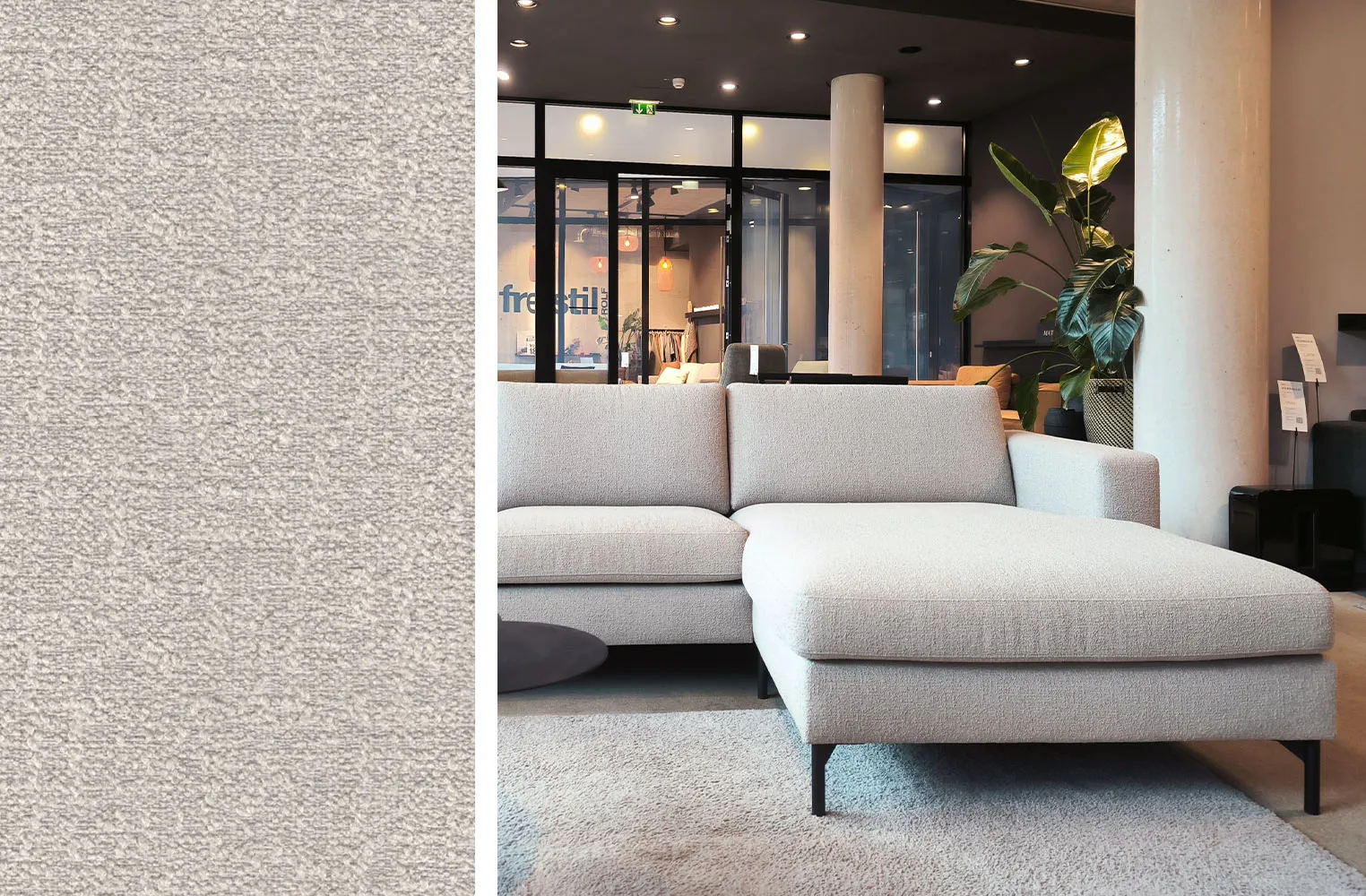 Dekoration für Zuhause, Innenarchitektur, Mobiliar, Pflanze, Wohnzimmer, 