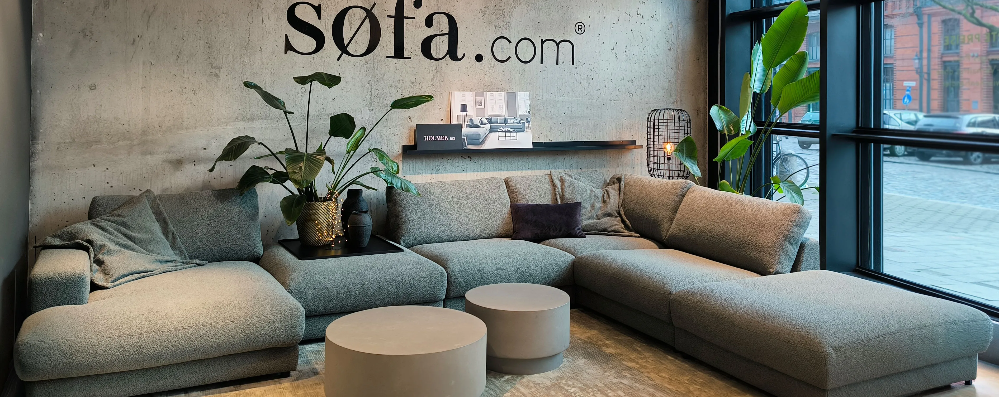sofa, sectional, grau, lounge, zeitgenössisch, großer sofabereich, sectional sofa, beige grauer stoff, wohnzimmer dekoration, pflanze dekor, 
